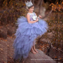 The Most Beautiful Luxury Cinderella Little Queen Flower Girl Dress for Wedding Party